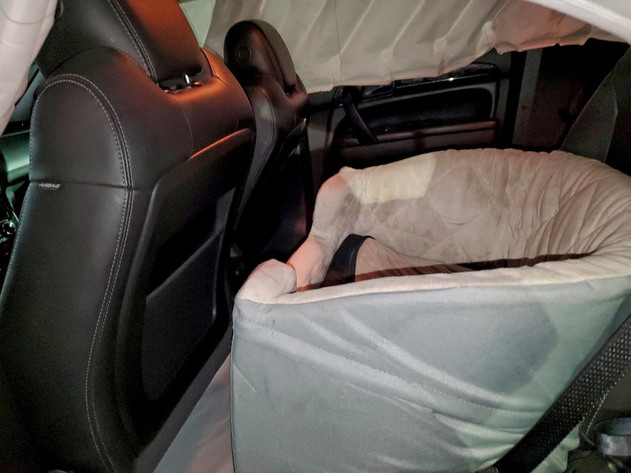 2016 Buick Enclave VIN: 5GAKRBKD9GJ137812 Lot: 94384765