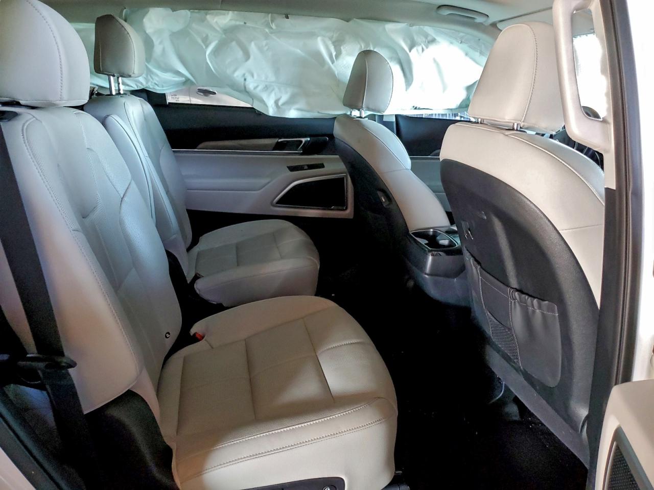 2021 Kia Telluride Ex VIN: 5XYP34HC0MG109165 Lot: 94144565