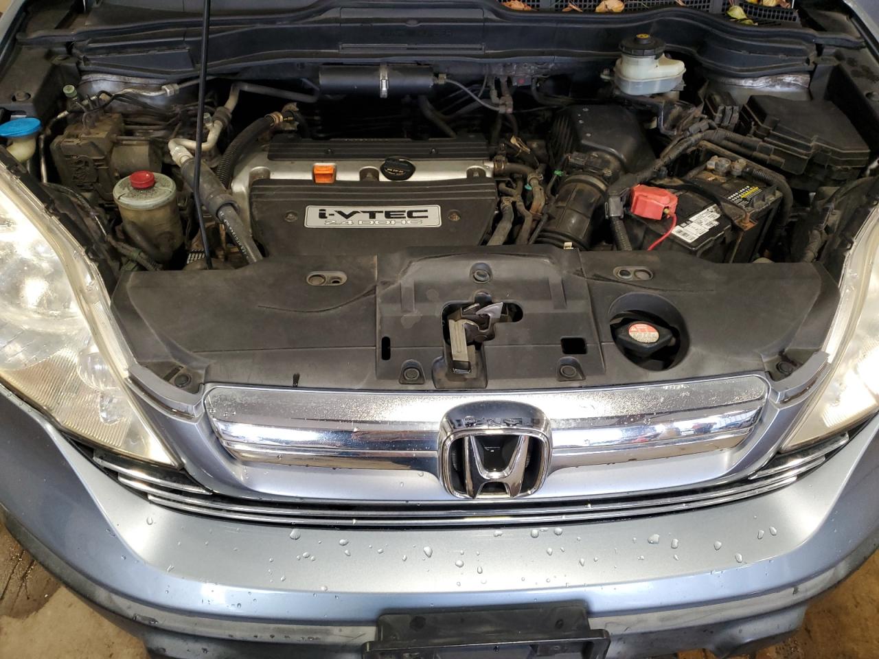 2008 Honda Cr-V Exl VIN: JHLRE48778C023743 Lot: 93093115