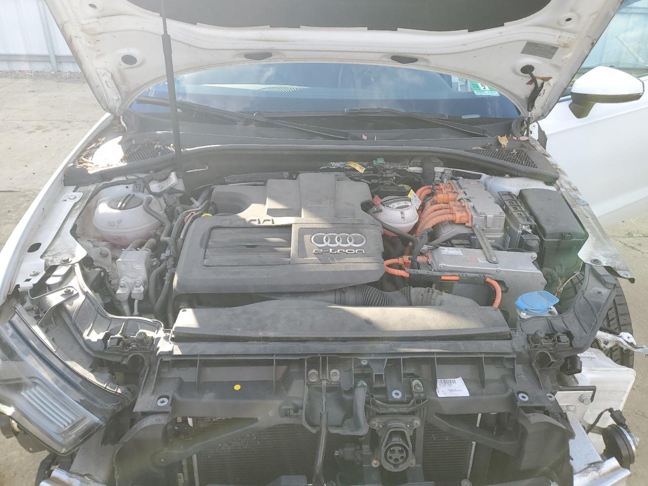 Фото: WAUTPBFF0GA132693