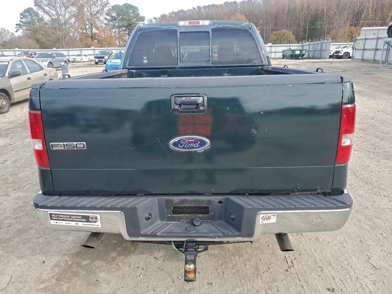 2006 Ford F150 VIN: 1FTPX12506NA34489 Lot: 94505615