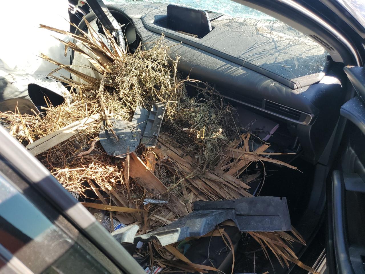 2021 Mazda Cx-30 Select VIN: 3MVDMBBL7MM315033 Lot: 93506475