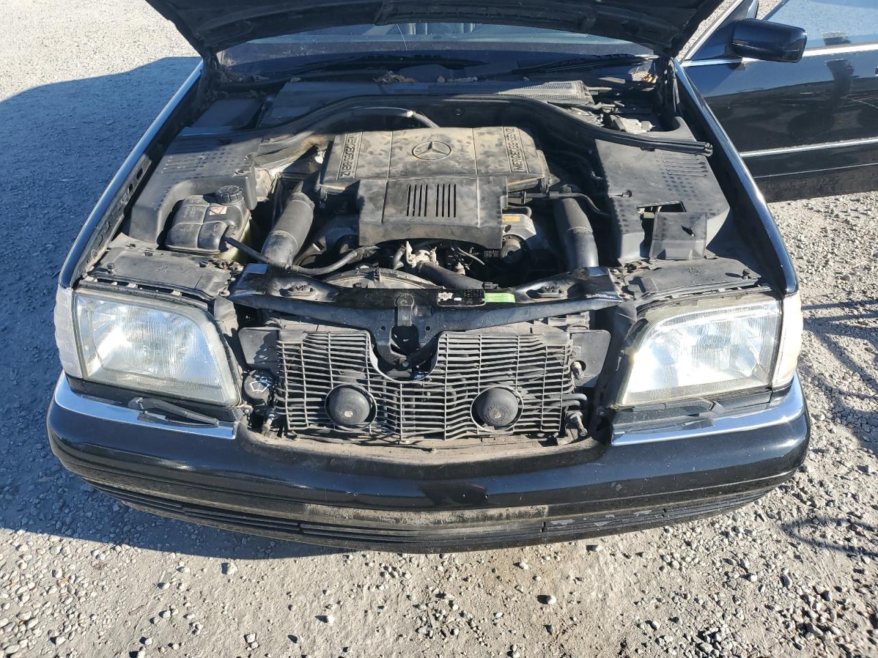 1998 Mercedes-Benz S 420 VIN: WDBGA43G7WA377731 Lot: 92929855