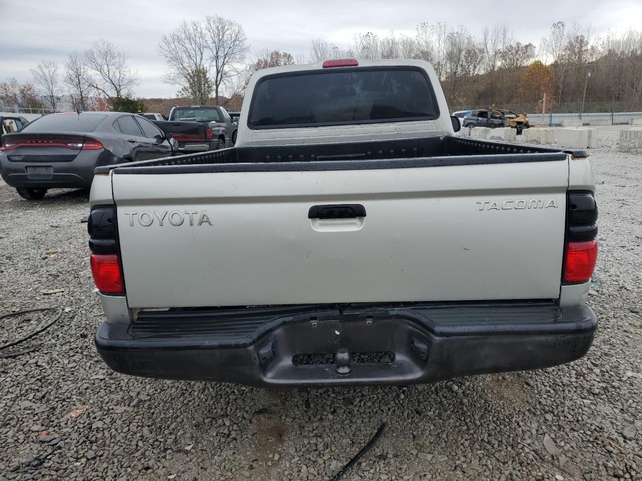 2003 Toyota Tacoma VIN: 5TENL42N13Z293196 Lot: 92112045