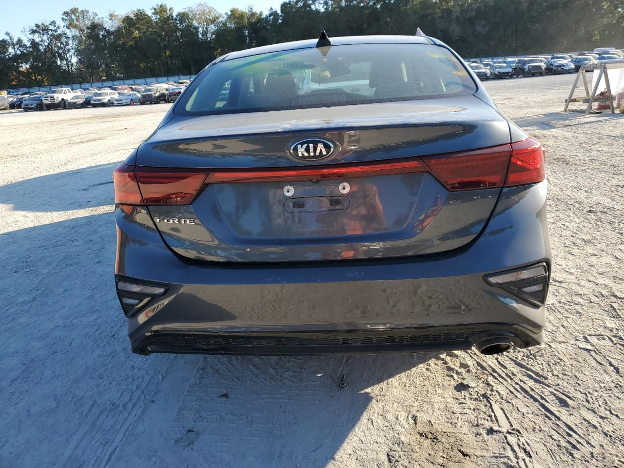 2019 Kia Forte Fe VIN: 3KPF24ADXKE117320 Lot: 91206715
