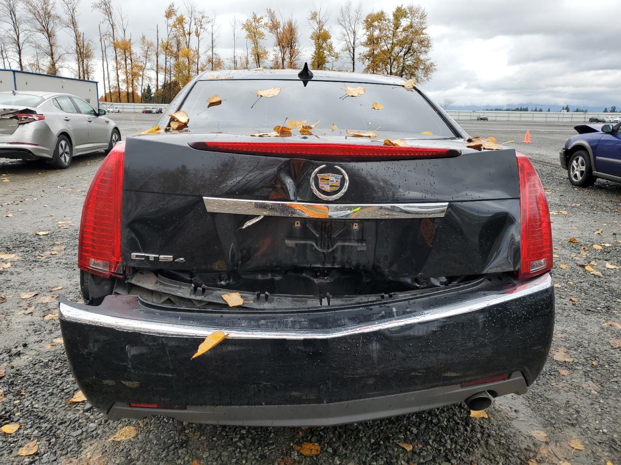 2010 Cadillac Cts Performance Collection VIN: 1G6DL5EG8A0113615 Lot: 91225405