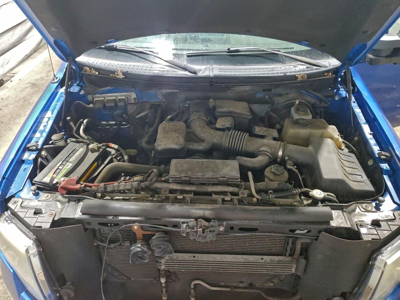 2010 Ford F150 Super Cab VIN: 1FTFX1EV5AFB30211 Lot: 93977475