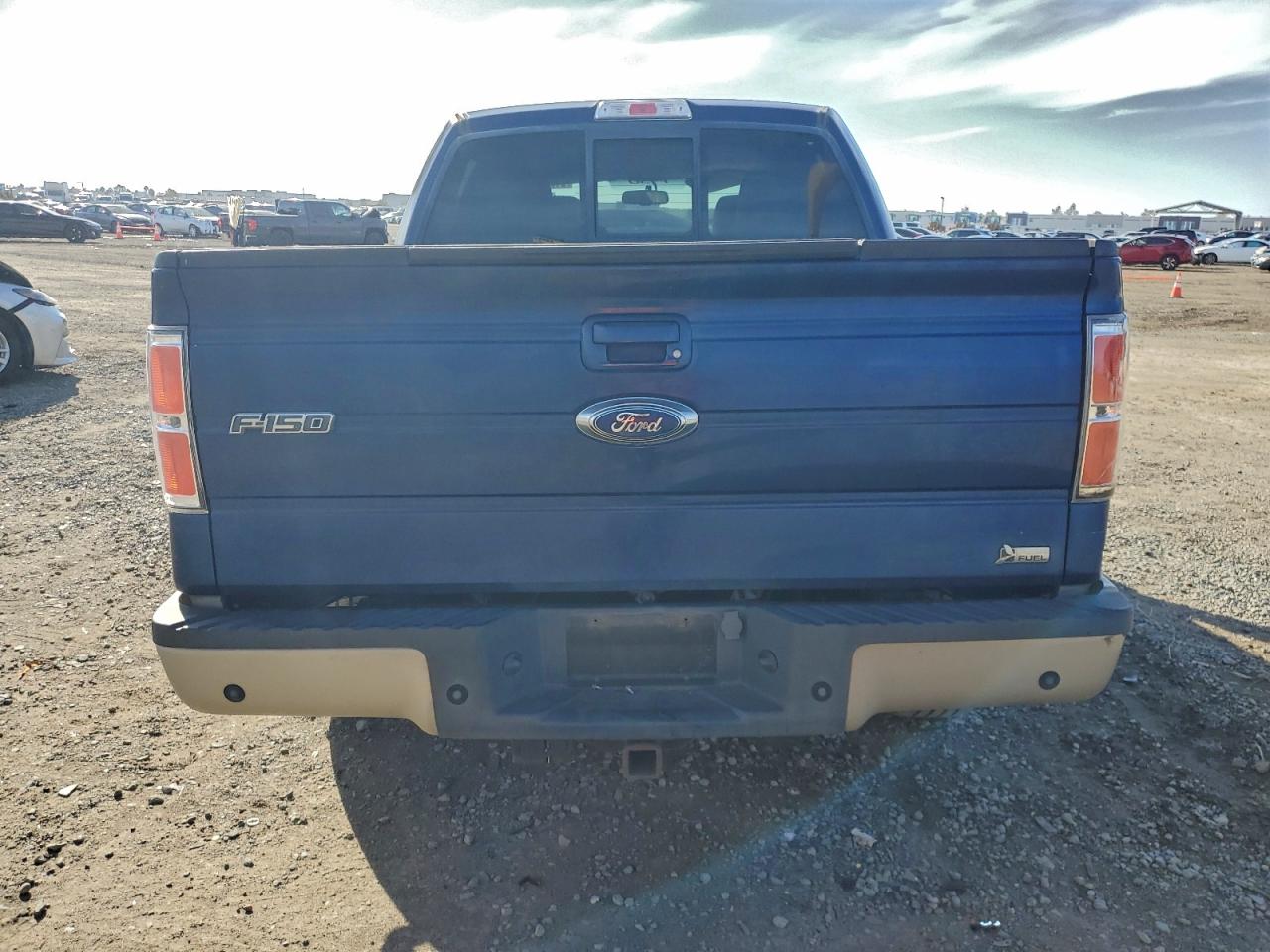 2010 Ford F150 Supercrew VIN: 1FTFW1CV7AFC07456 Lot: 94089875