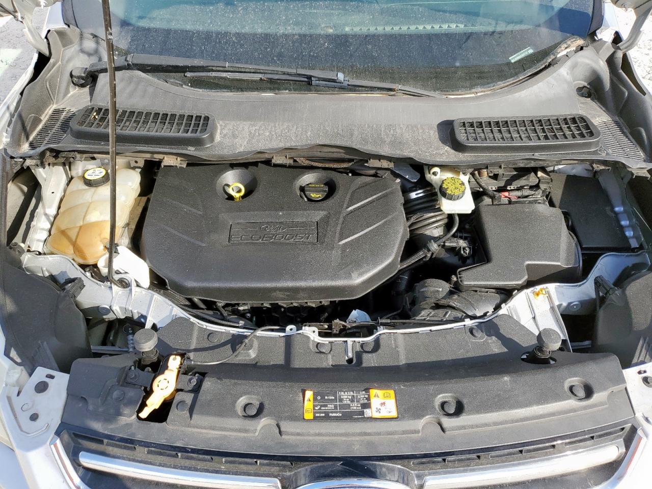 2013 Ford Escape Sel VIN: 1FMCU0H99DUA25137 Lot: 92567945