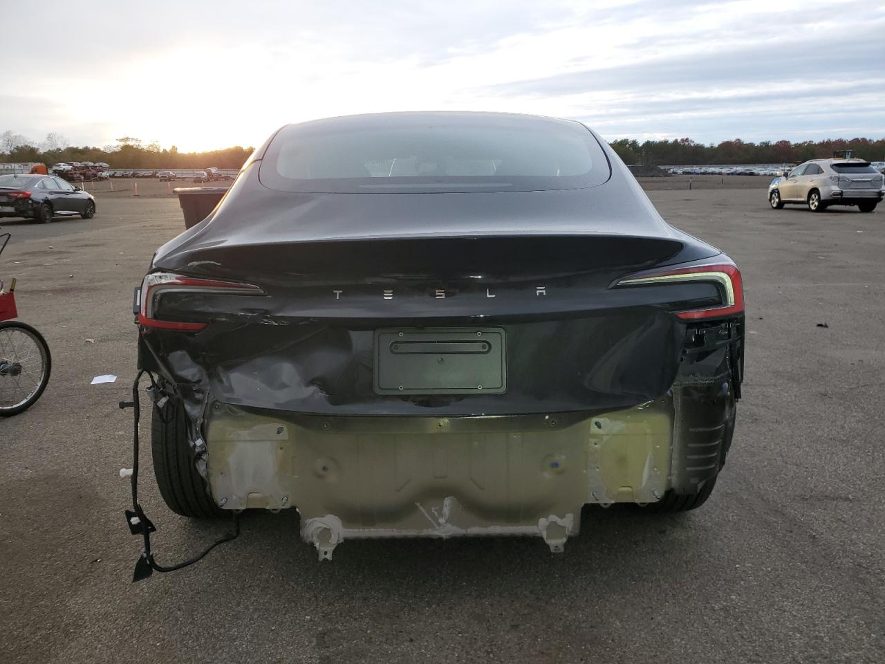 2025 Tesla Model 3 VIN: 5YJ3E1EA9SF934278 Lot: 90316375