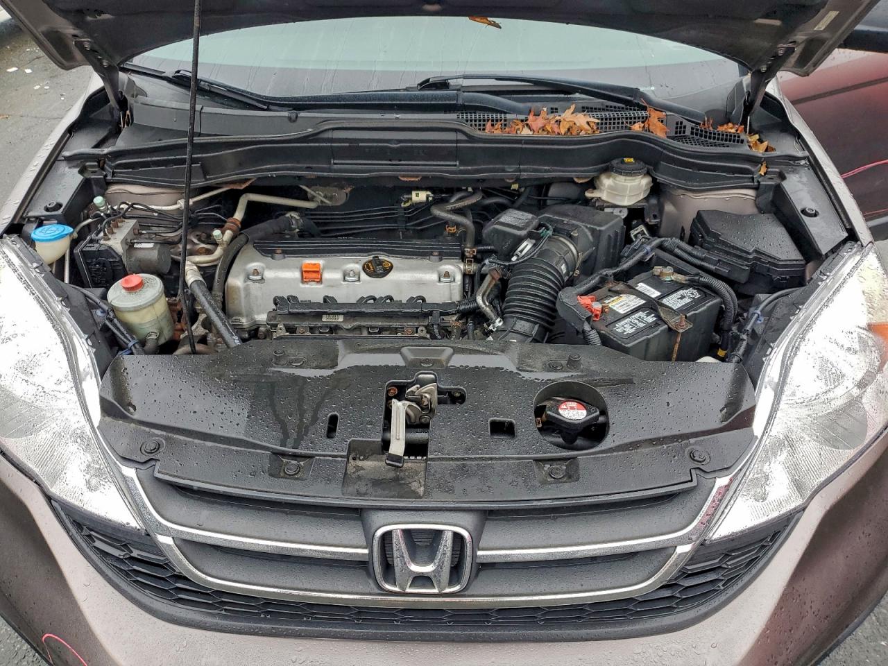 2011 Honda Cr-V Lx VIN: 5J6RE4H36BL090460 Lot: 94570135