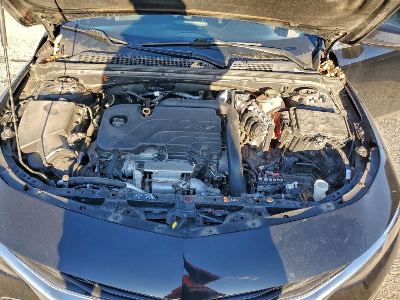 2019 Chevrolet Malibu Lt VIN: 1G1ZD5ST1KF214486 Lot: 93667795