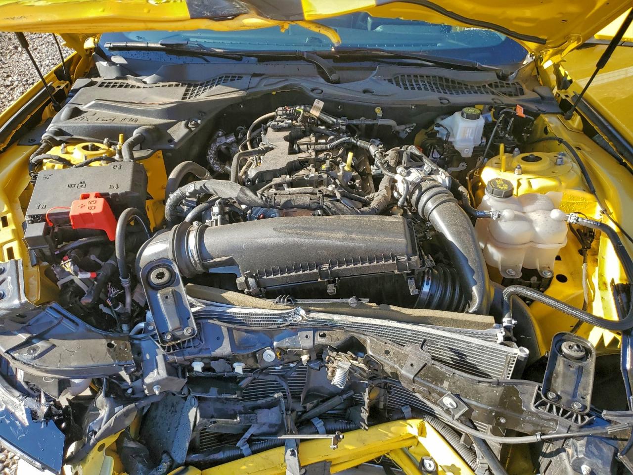 2024 Ford Mustang VIN: 1FA6P8TH0R5122871 Lot: 94482505