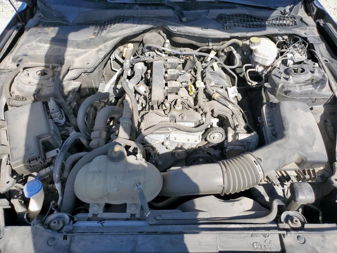 2021 Ford Mustang VIN: 1FA6P8TH1M5134617 Lot: 91589365