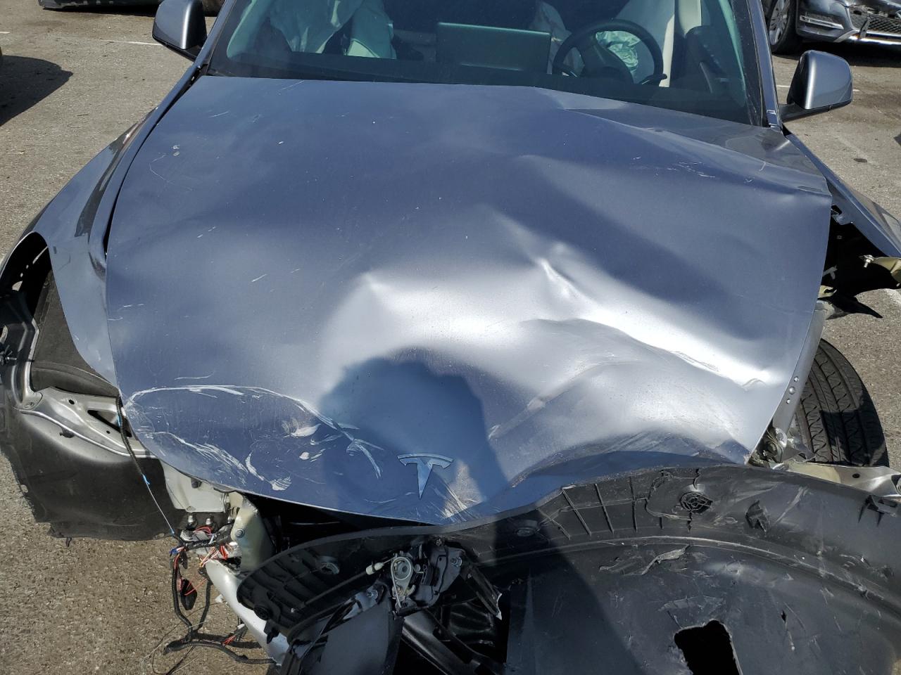 2024 Tesla Model Y VIN: 7SAYGDEE1RA300476 Lot: 91143505