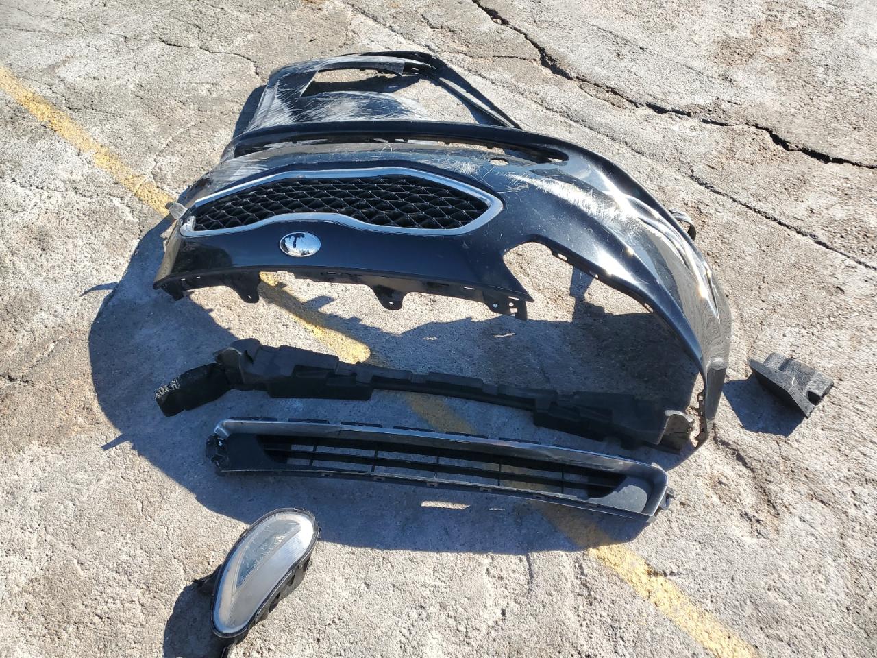 2014 Kia Cadenza Premium VIN: KNALN4D72E5137980 Lot: 93593065