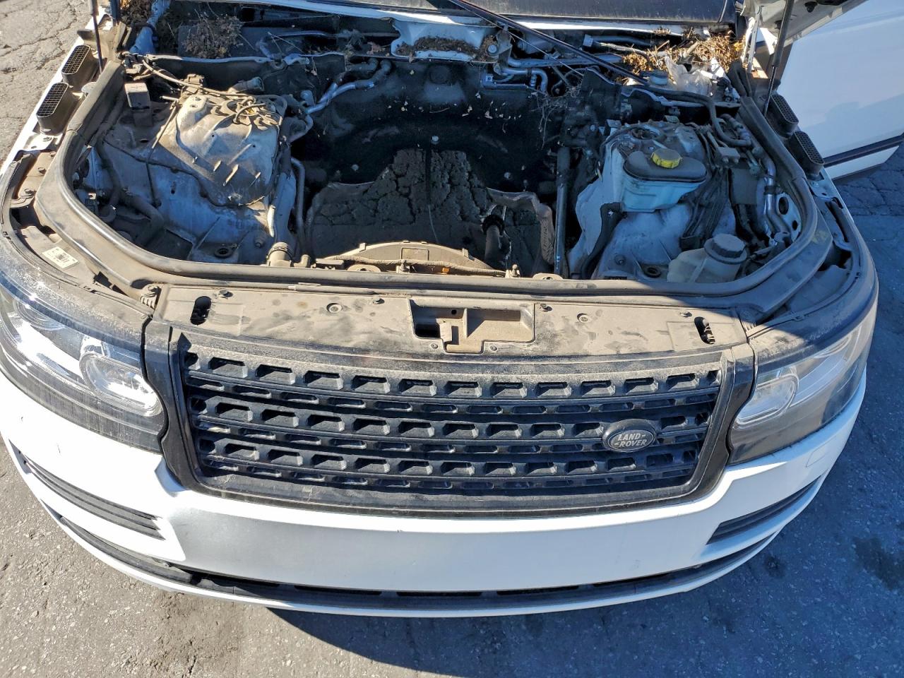 2015 Land Rover Range Rover Supercharged VIN: SALGS3TF5FA199987 Lot: 94177545