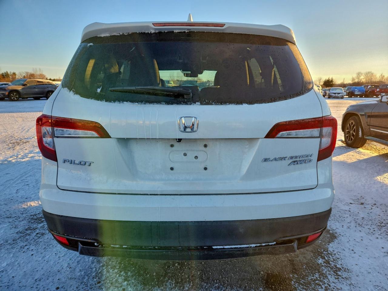 2021 Honda Pilot Elite VIN: 5FNYF6H06MB503936 Lot: 92138095