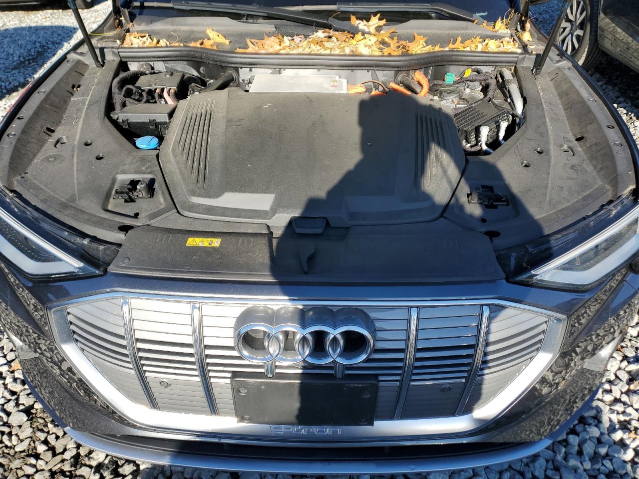 2019 Audi E-Tron Prestige VIN: WA1VAAGE2KB006636 Lot: 93374995