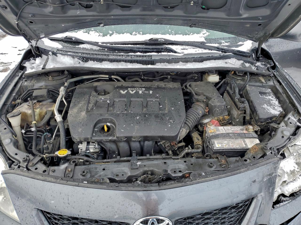 2010 Toyota Corolla Base VIN: 2T1BU4EE3AC499473 Lot: 93703645