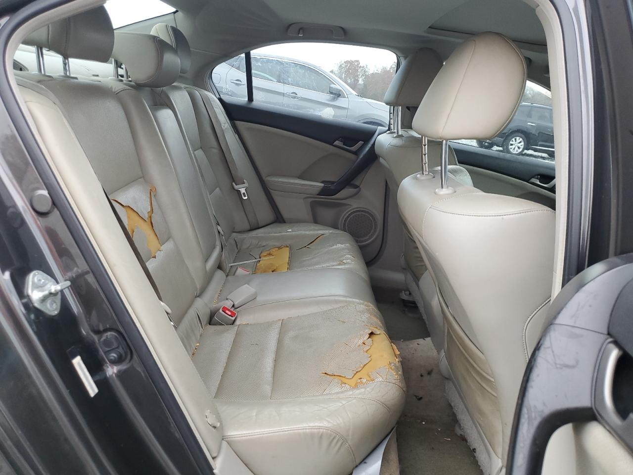 2010 Acura Tsx VIN: JH4CU4F65AC000496 Lot: 92288665