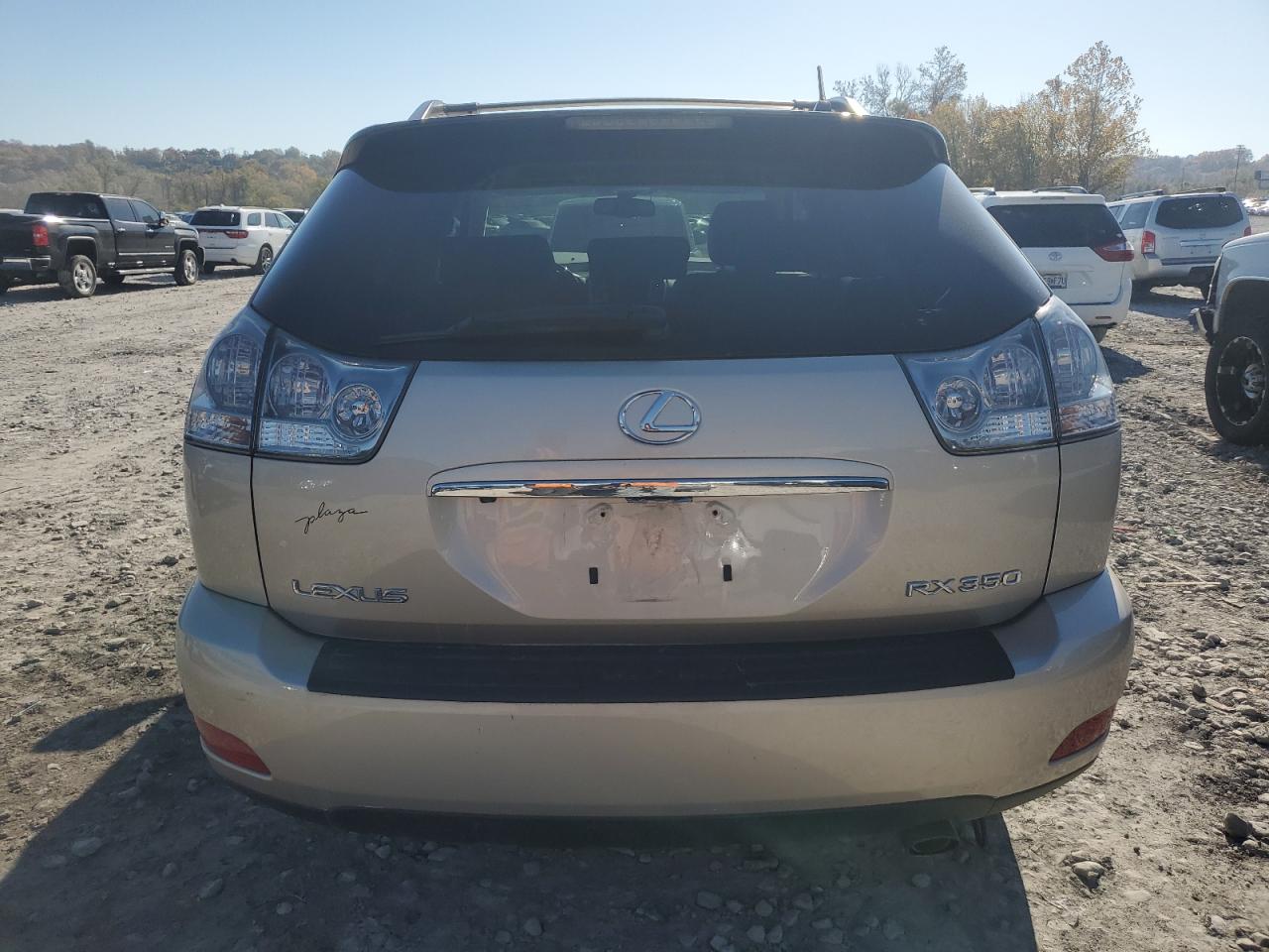 2007 Lexus Rx 350 VIN: 2T2HK31U77C045707 Lot: 91398195