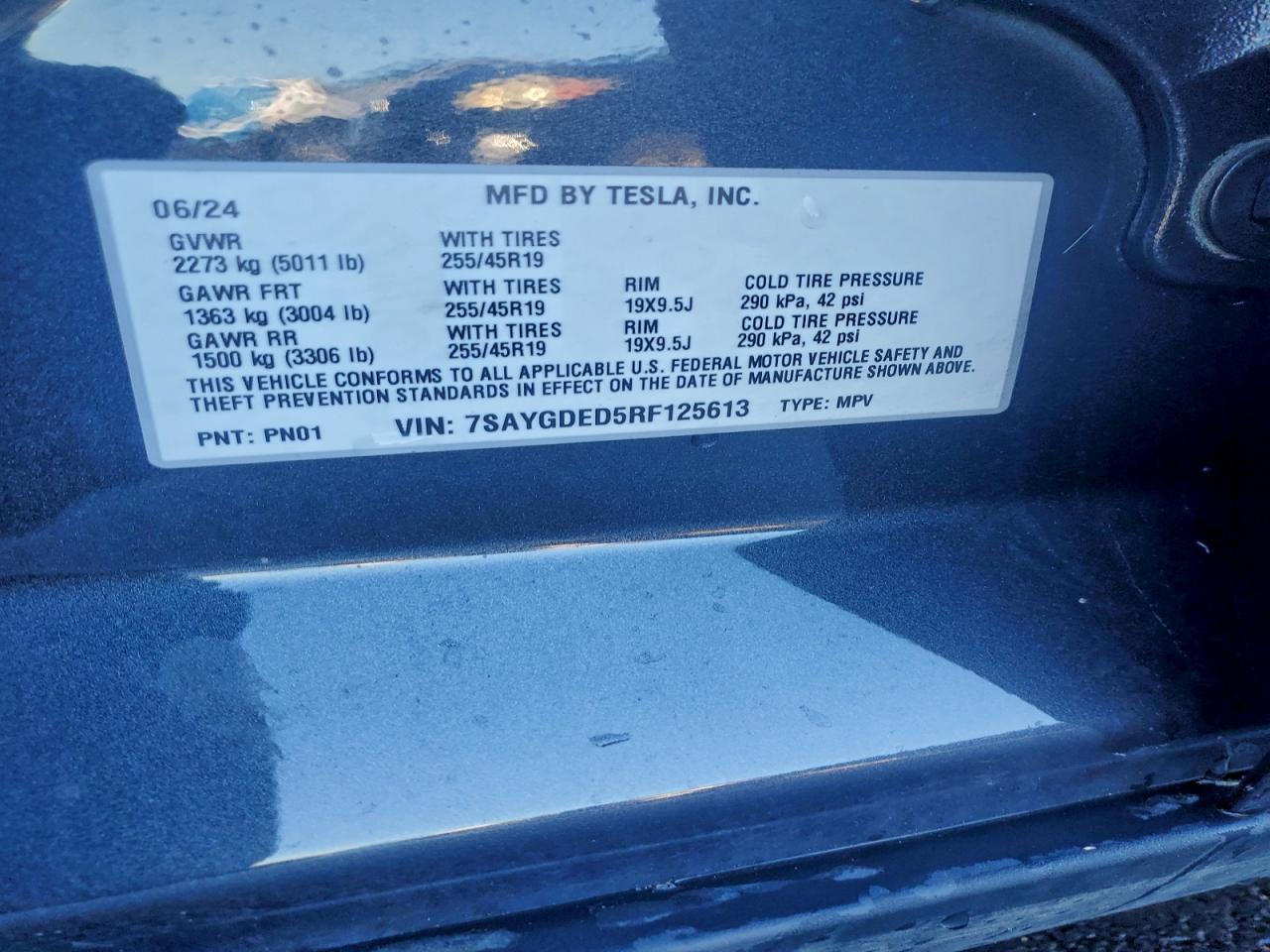 2024 Tesla Model Y VIN: 7SAYGDED5RF125613 Lot: 93900035