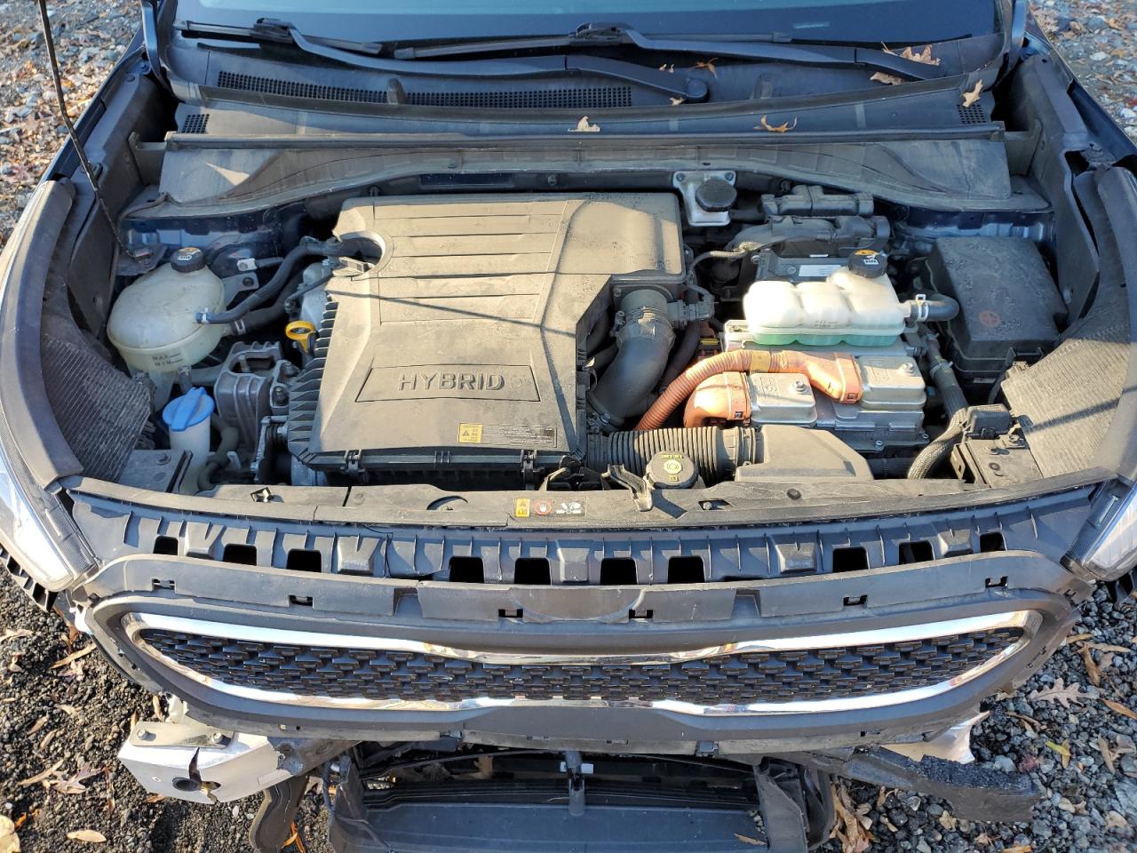 2019 Kia Niro Fe VIN: KNDCB3LC6K5331458 Lot: 90407605