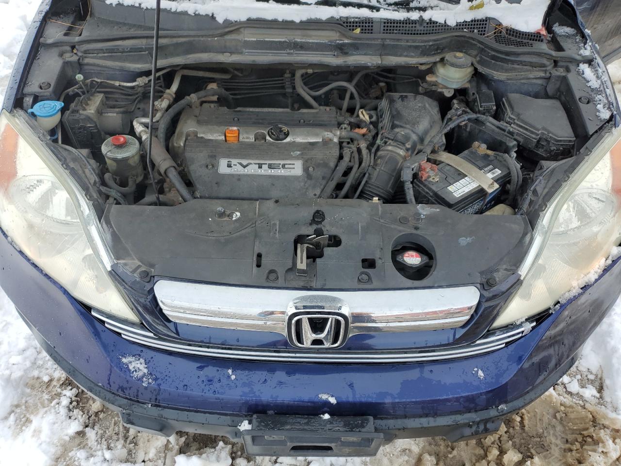 2007 Honda Cr-V Exl VIN: 5J6RE48747L804600 Lot: 92004815