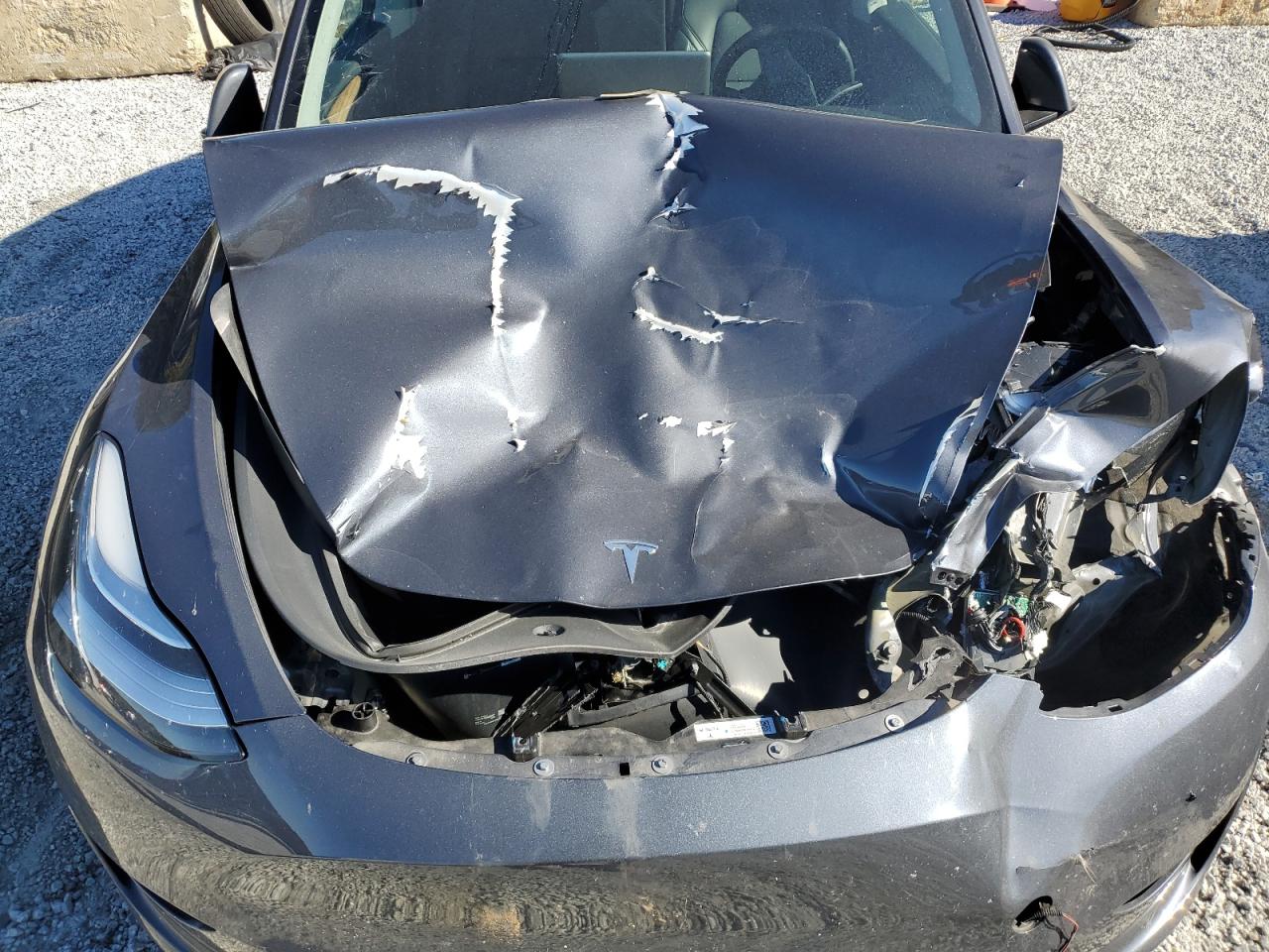 2023 Tesla Model Y VIN: 7SAYGDEEXPA054461 Lot: 91838095