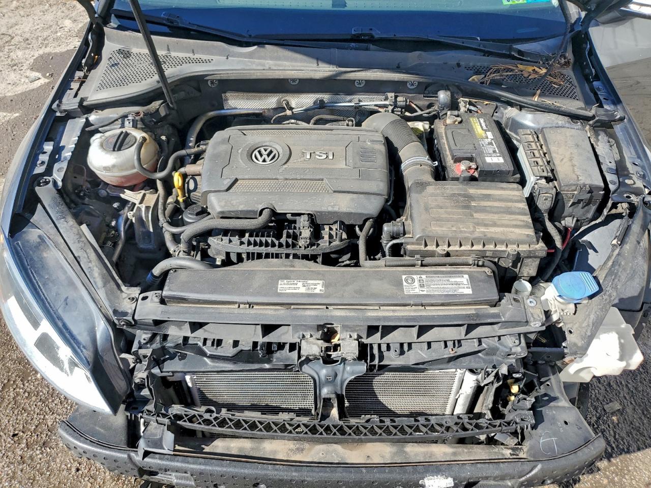 2017 Volkswagen Golf Sportwagen S VIN: 3VWA17AU9HM504371 Lot: 94039855