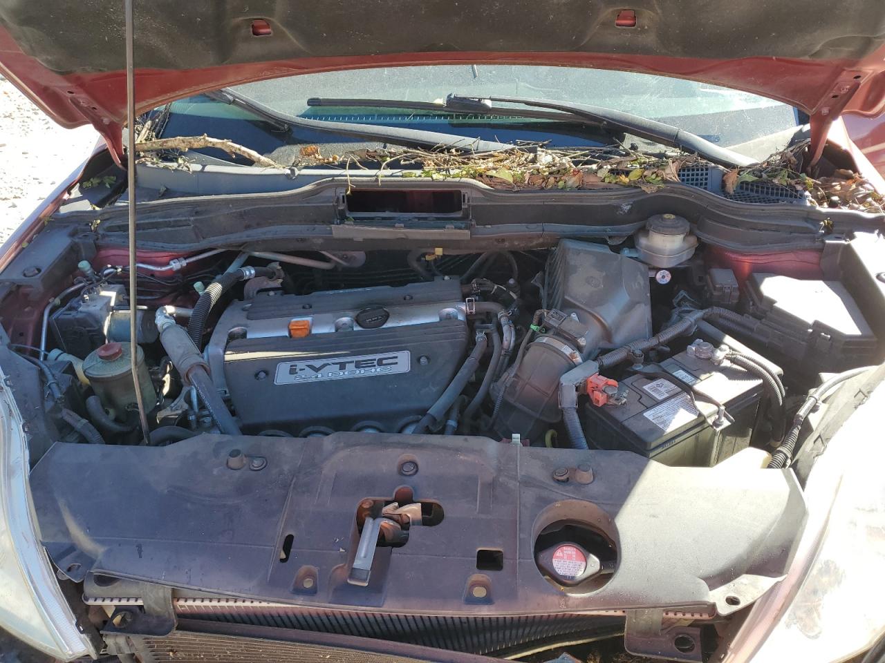 2007 Honda Cr-V Exl VIN: JHLRE38777C016512 Lot: 93283135