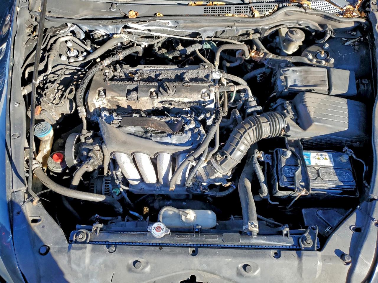 2006 Honda Accord Ex VIN: 1HGCM72646A004259 Lot: 93835725