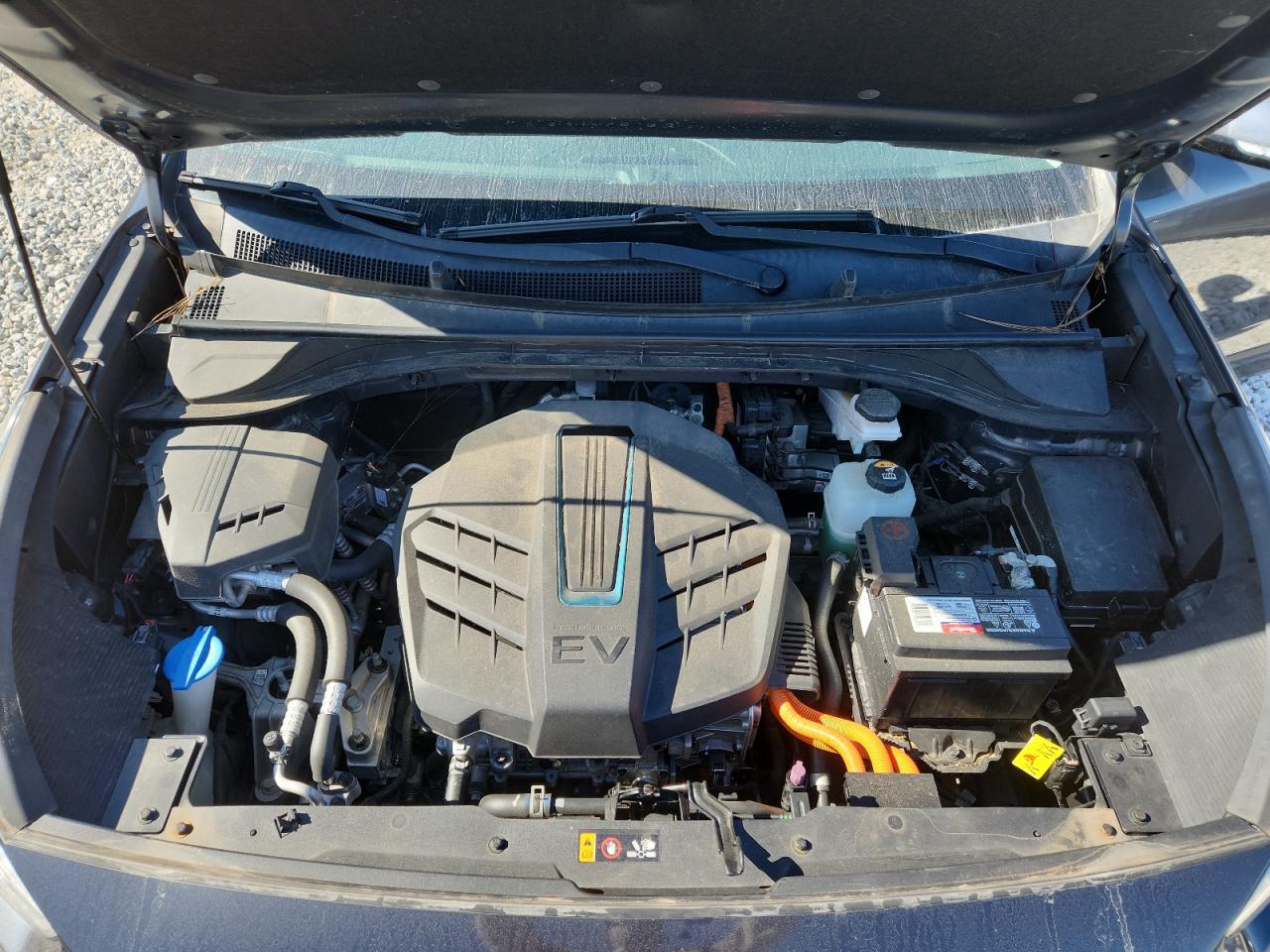 2019 Kia Niro Ex VIN: KNDCC3LG1K5008158 Lot: 91838865