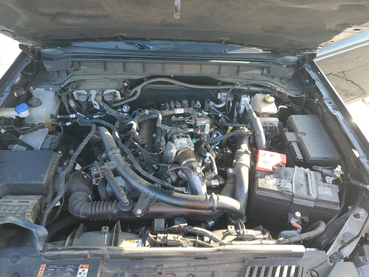 2023 Ford Bronco Base VIN: 1FMEE5DP0PLA86782 Lot: 92255265