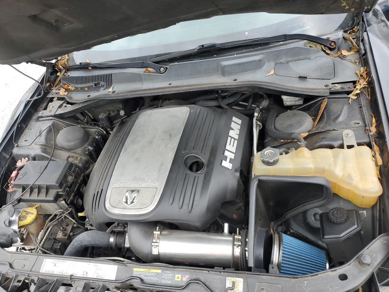 2006 Dodge Charger R/T VIN: 2B3KA53H16H283955 Lot: 93497535