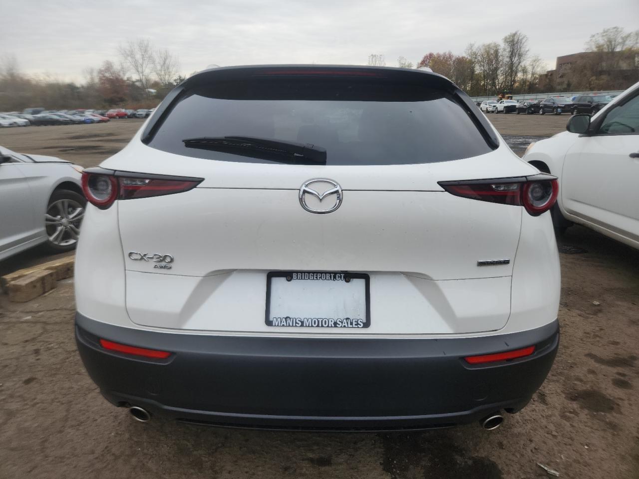 2024 Mazda Cx-30 Preferred VIN: 3MVDMBCM0RM644137 Lot: 91353075