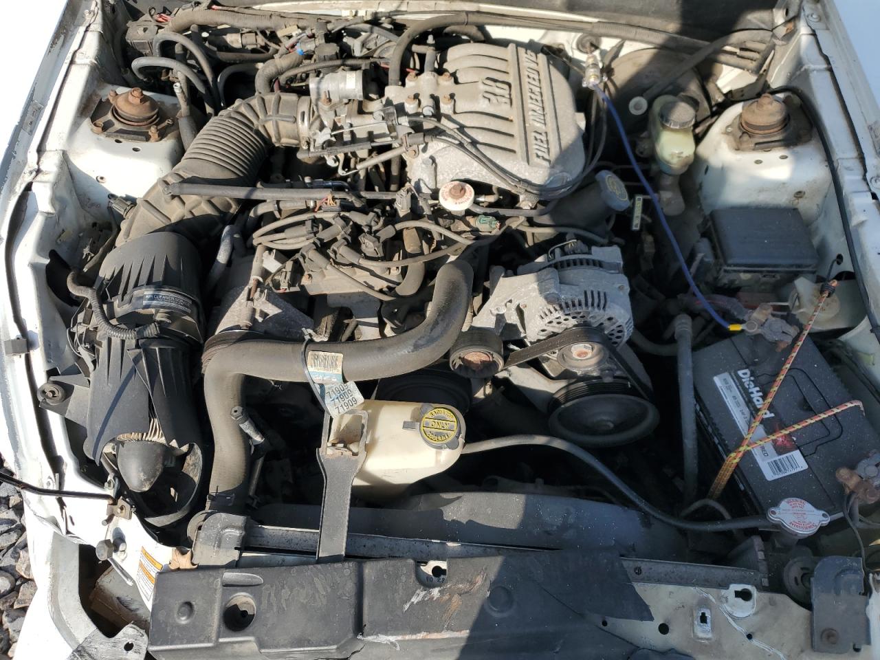 1997 Ford Mustang VIN: 1FALP4442VF128733 Lot: 93006505