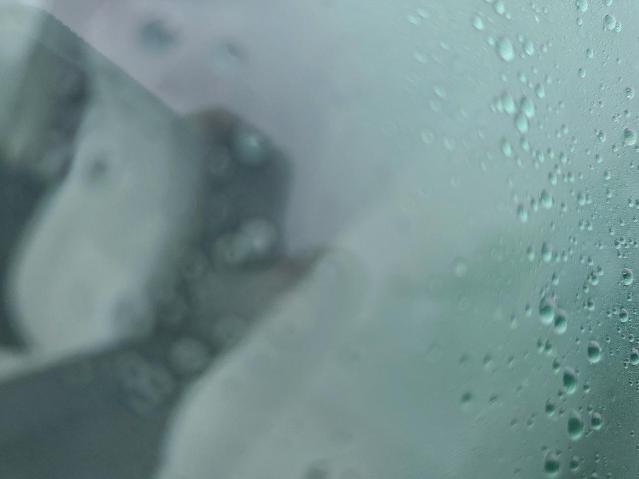 2023 Tesla Model Y VIN: 7SAYGDEE2PF609079 Lot: 93918845