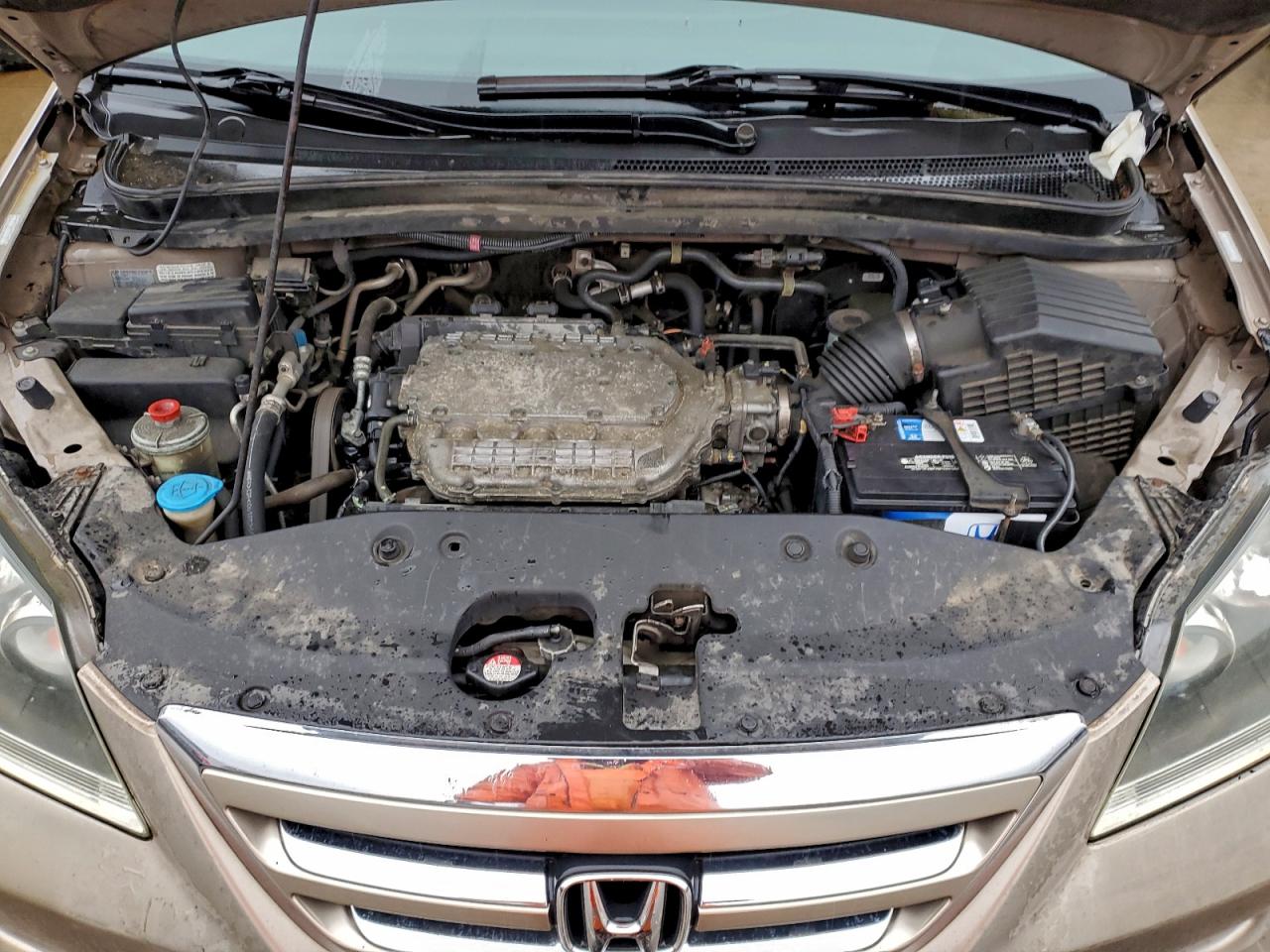 2007 Honda Odyssey Exl VIN: 5FNRL38627B404843 Lot: 93699755