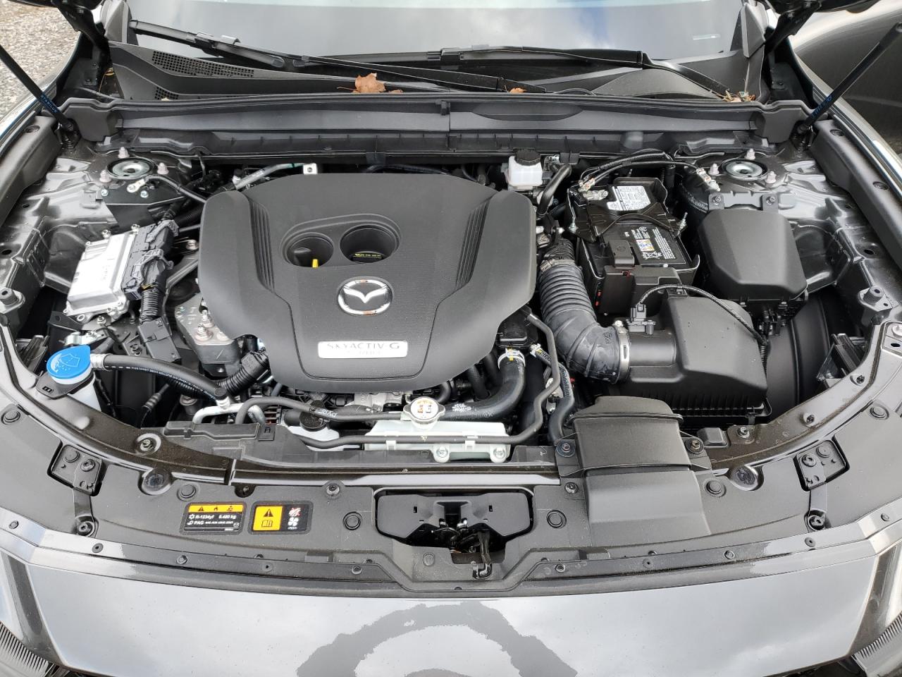 2025 Mazda Cx-50 Premium Plus VIN: 7MMVABEY1SN391811 Lot: 91661375