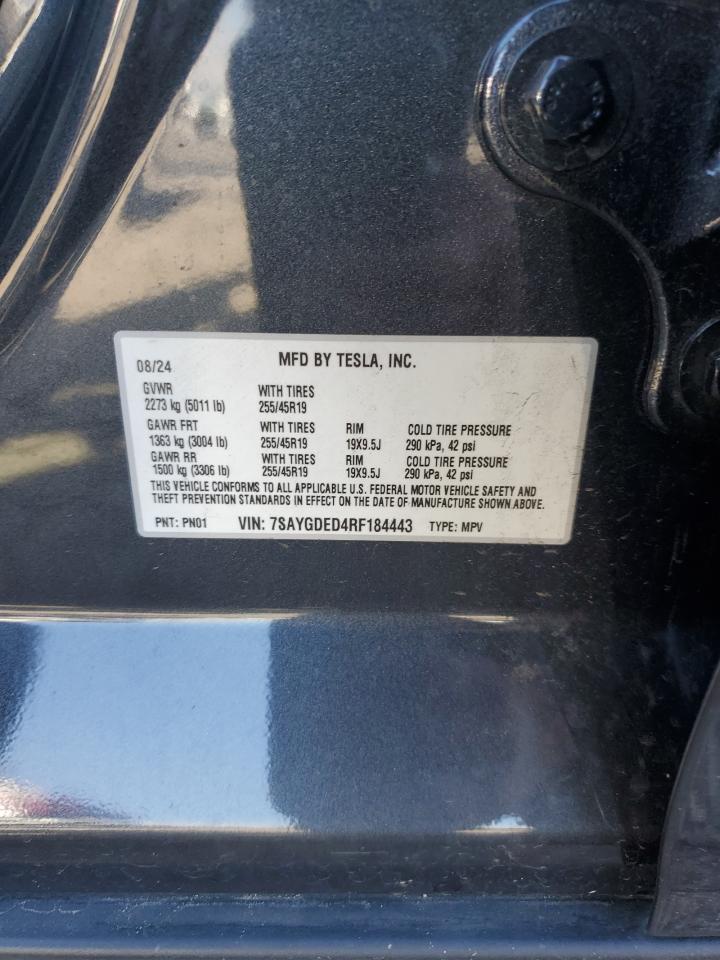 2024 Tesla Model Y VIN: 7SAYGDED4RF184443 Lot: 93554605