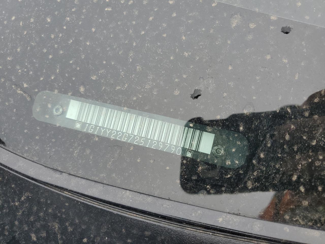 2002 Chevrolet Corvette VIN: 1G1YY22G725129790 Lot: 91973105