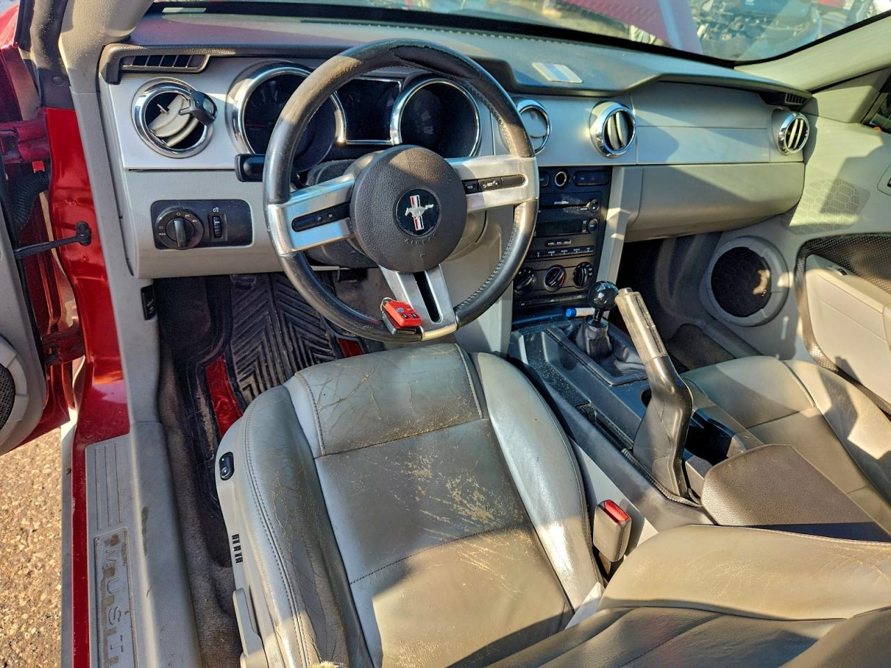 2006 Ford Mustang VIN: 1ZVFT80N665181321 Lot: 91559285