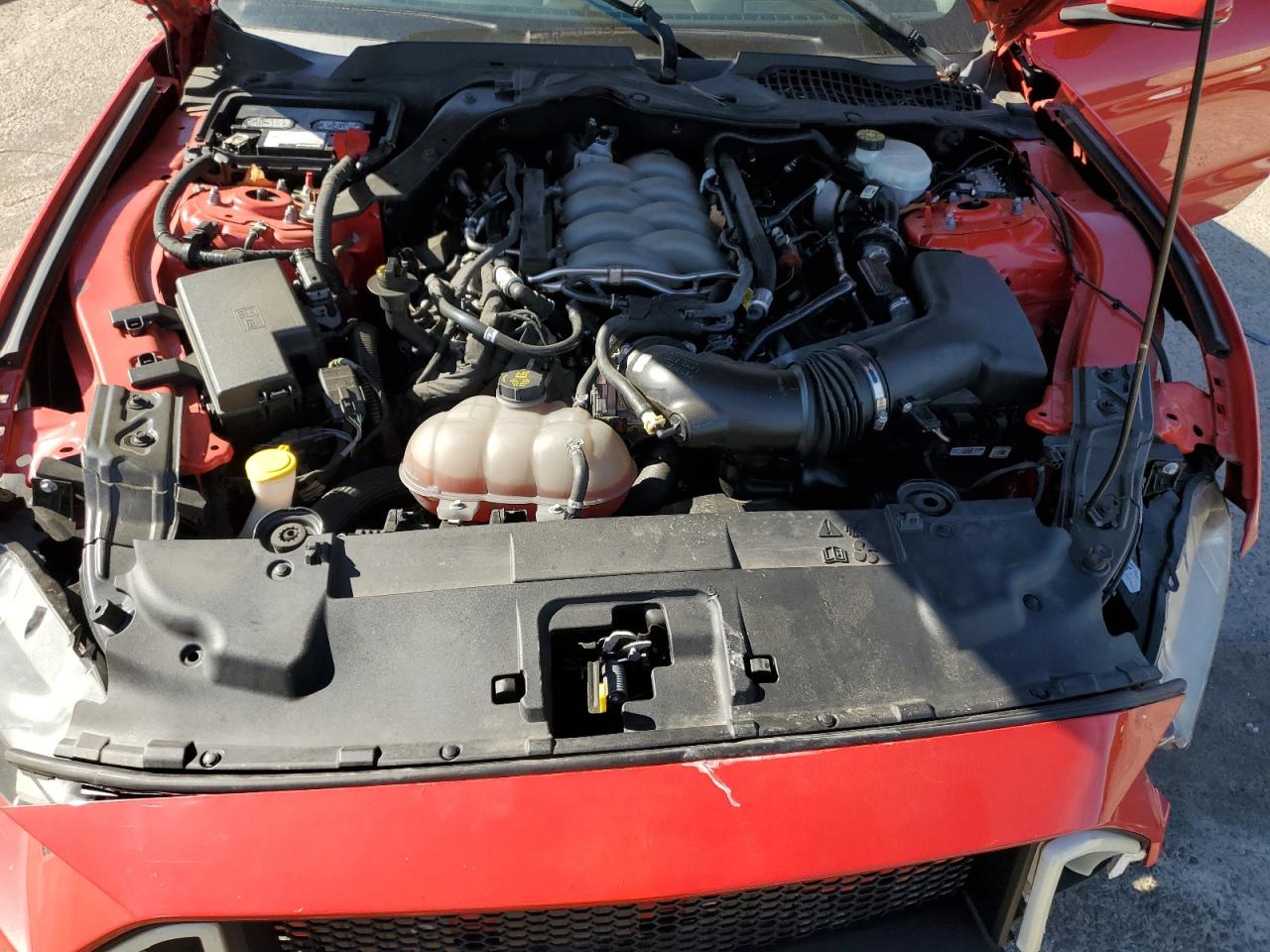 2019 Ford Mustang Gt VIN: 1FA6P8CF8K5188508 Lot: 93215505