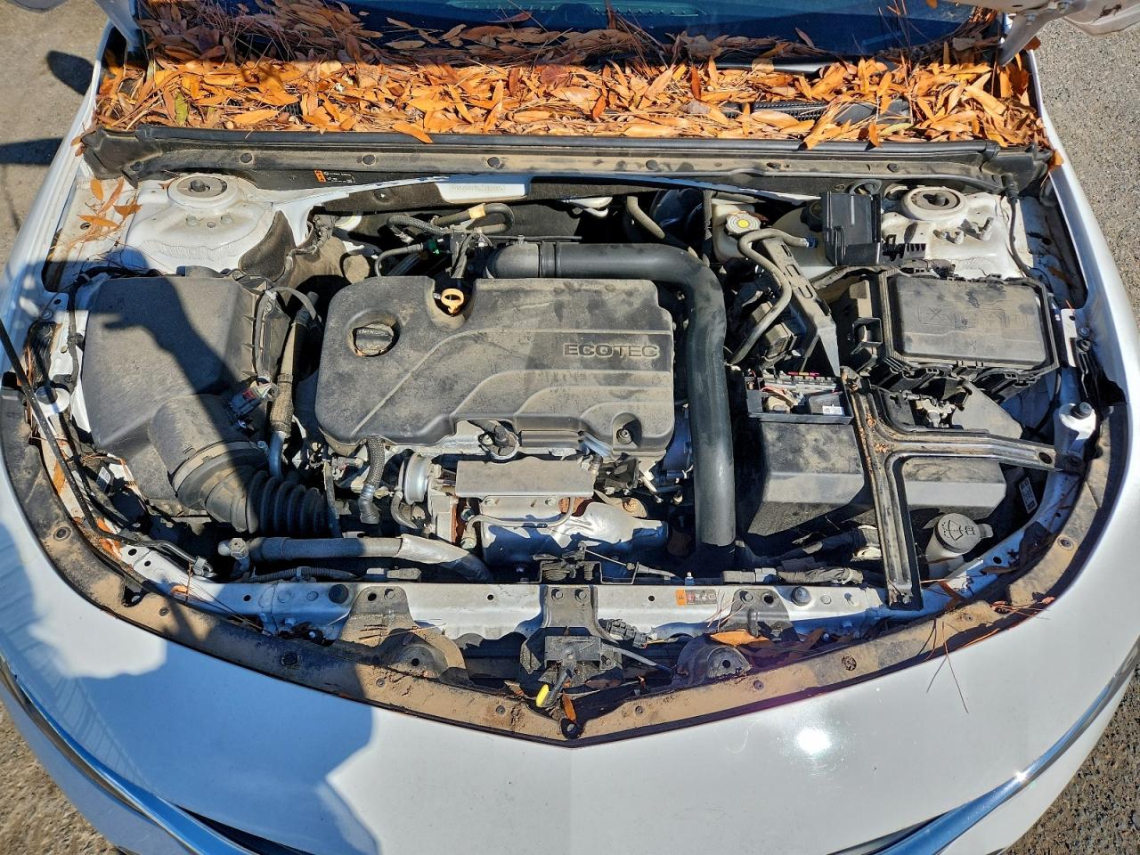 2020 Chevrolet Malibu Rs VIN: 1G1ZG5ST5LF142037 Lot: 91188015