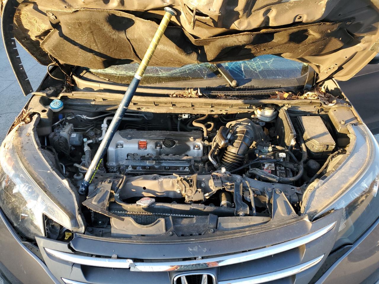 2014 Honda Cr-V Exl VIN: 2HKRM4H71EH713861 Lot: 92638355