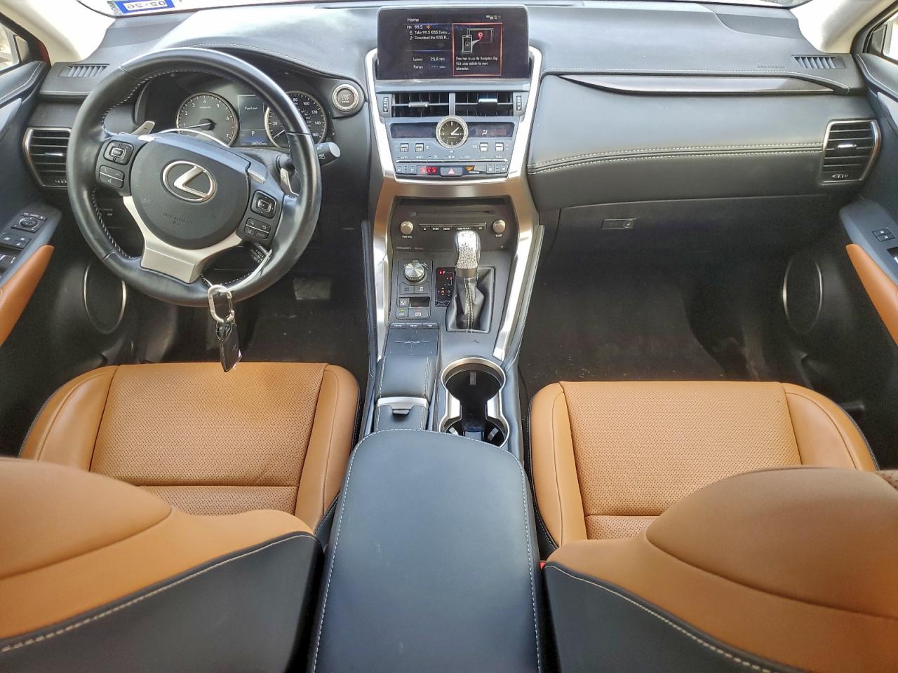 2020 Lexus Nx 300 VIN: JTJDARBZ8L5016899 Lot: 93894405