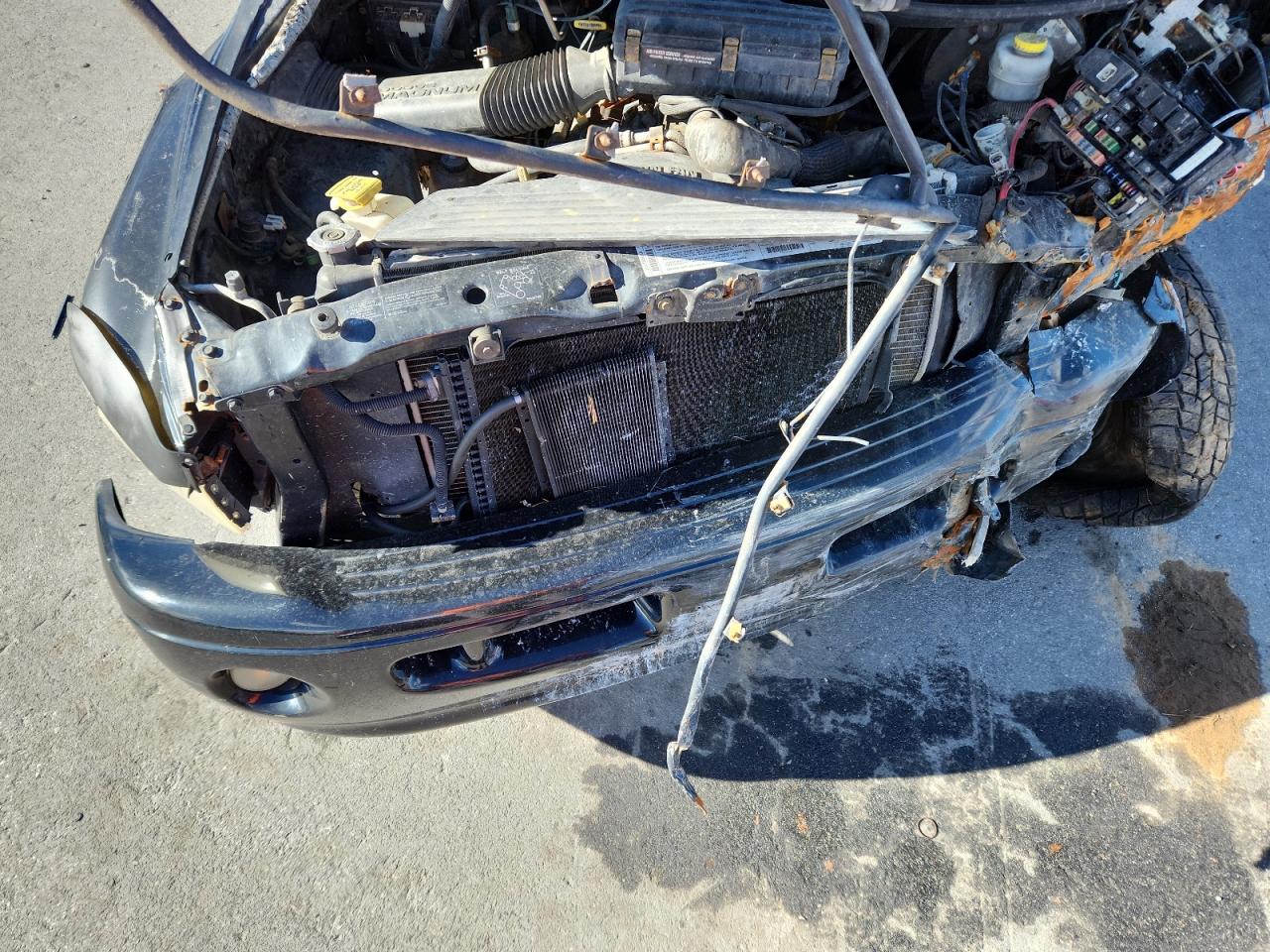 1999 Dodge Ram 1500 VIN: 1B7HF13Y6XJ557413 Lot: 91637085