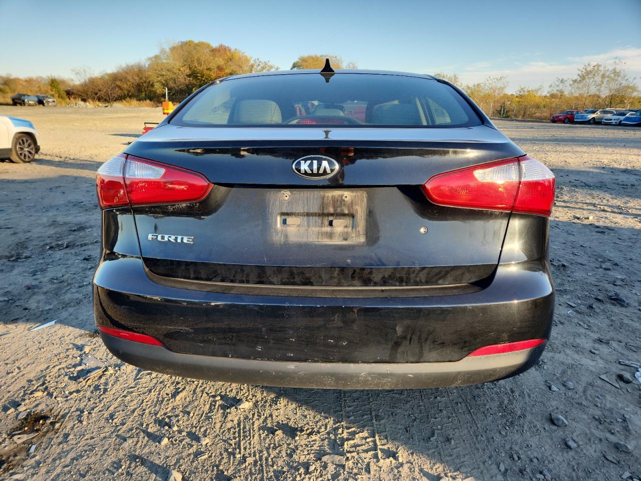 2015 Kia Forte Lx VIN: KNAFK4A65F5348061 Lot: 91510055